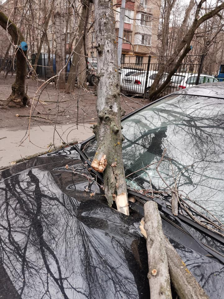 Ураган в Москве повалил на машины деревья и реклам Фото 2
