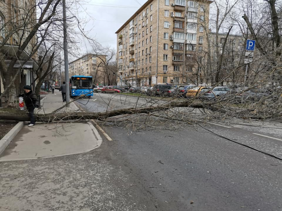 Ураган в Москве повалил на машины деревья и реклам Фото 4